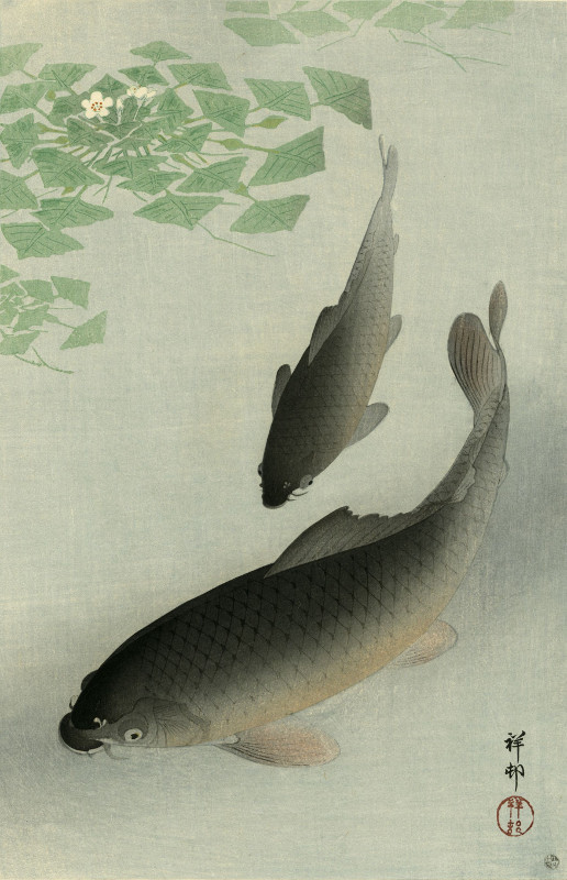 Japanese Art Woodblock Print «Carp (Koi)» OHARA KOSON Shin Hanga