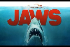 Jaws Poster Shark Poster Photo Wall Art Home Decor Prints 16×24, 20×30, 24×36″