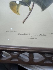 Heart Cutout Wood Frame Camellia Botanical Print Folk Art Wall Decor
