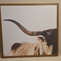 Framed Bull Wall Art Print, Brown Beige White Black, Horizontal Animal Decor