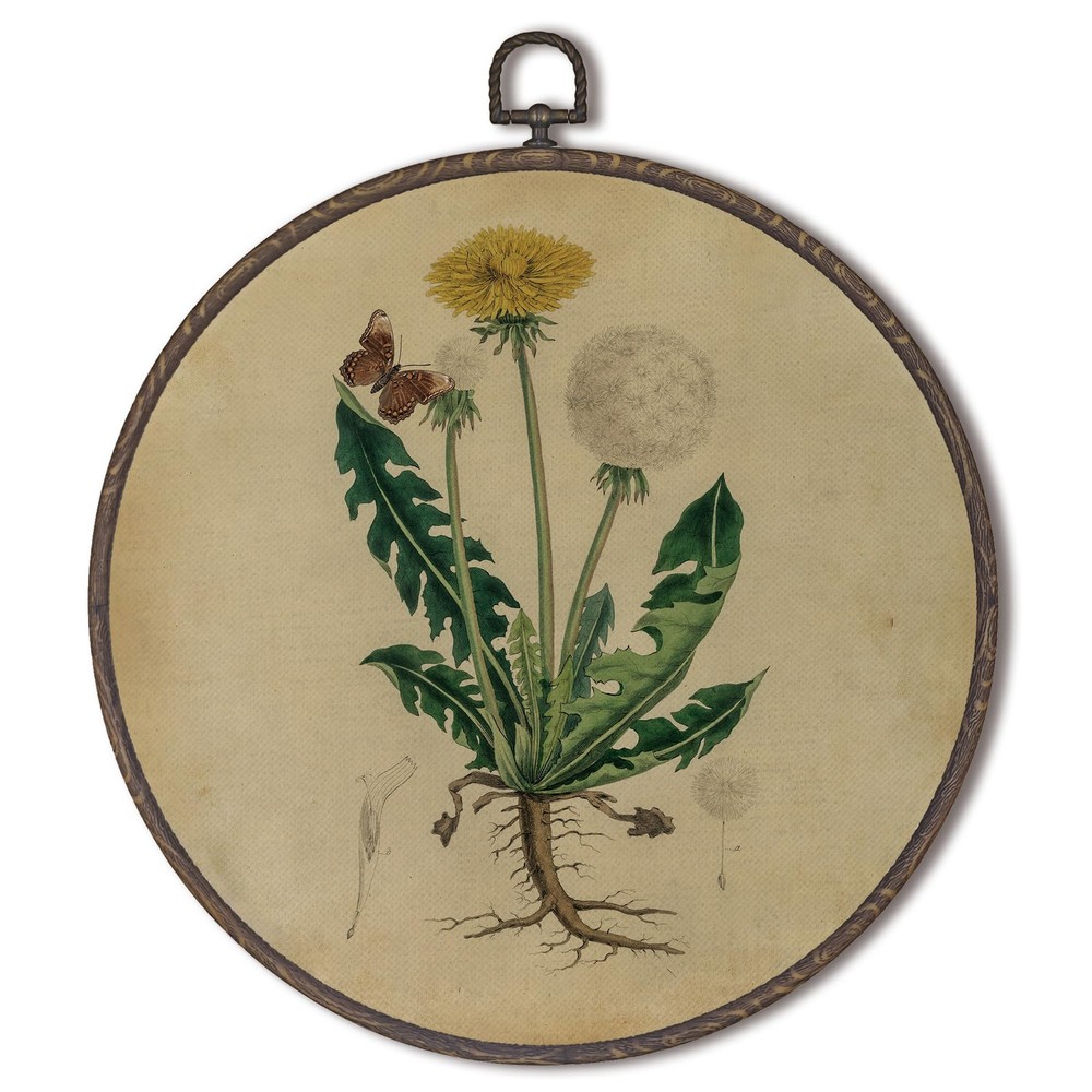 XNXLDYLH Vintage Botanical Taraxacuma Floral Round Framed Wall Art Decor, Ret…