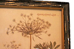 Creative Co-Op Queen Anne’s Lace Floral Rustic Wall Decor Hanging Picture NEW