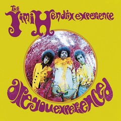 Jimi Hendrix Are You Experienced Poster Print 12×12 Music Album Cover Wall Art