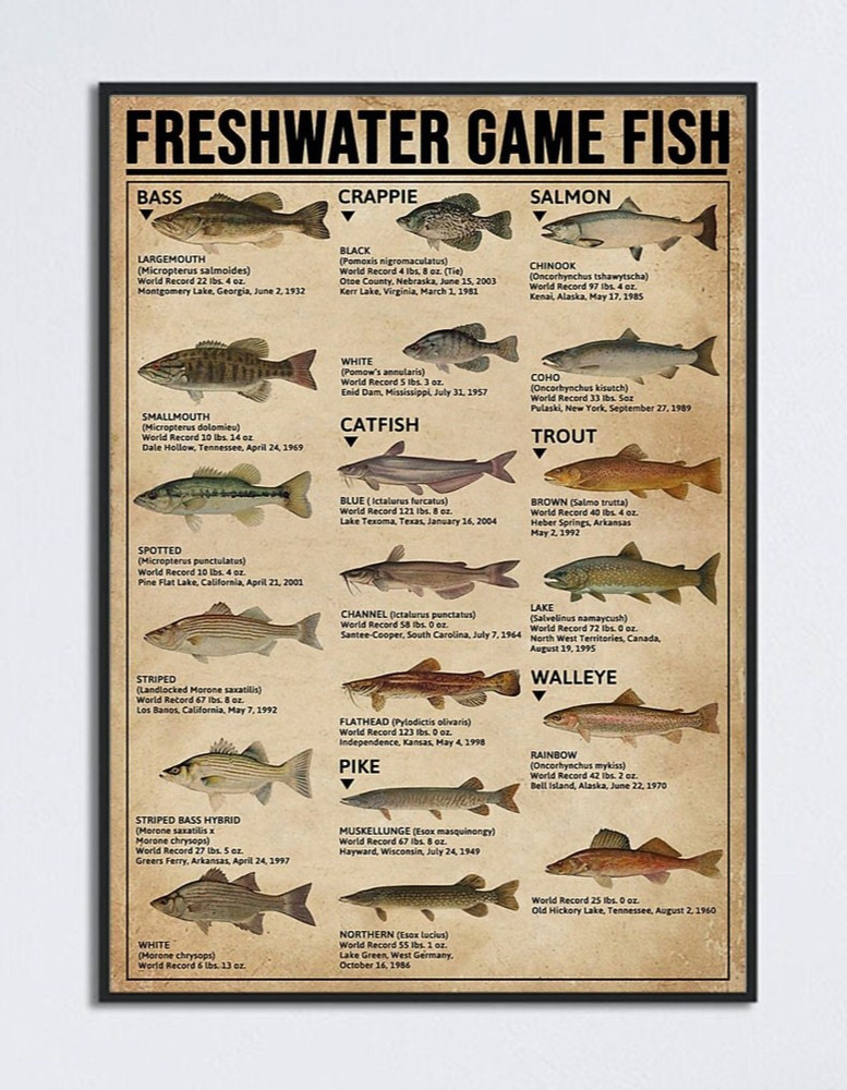 Vintage Fishing Poster – Freshwater Game Fish Knowledge Print – Home Decor