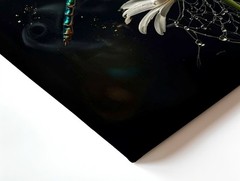 Wall Art Dragonfly on Daisy Flower Moonlight Fantasy Nature Print Home Decor