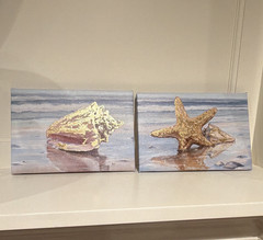 Coastal Seashell & Starfish Beach Canvas Print Set Multicolor 6 x 8.75”