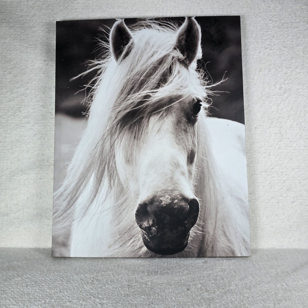 Horse Potrait Canvas Glossy 16×20 Art Wildlife Wall Decor
