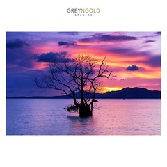 Alone Tree in Cloudy Sunset Nature Wall Art Print pick size A4/A3/A2/90x60cm