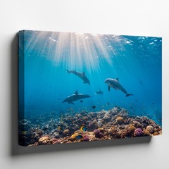 Vibrant Underwater Scene Featuring Playful Dolphins Swimming Gracefully Wall Art