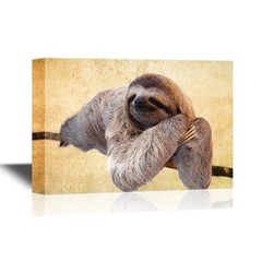 wall26 – Wild Animal Canvas Wall Art – A Sloth on a Tree Branch – 12×18 inches