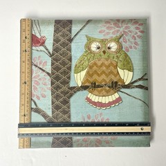 P. Brent Fantasy Owls Canvas Prints Pair 2 Wall Art 12”x12”x1” Birds Whimsical