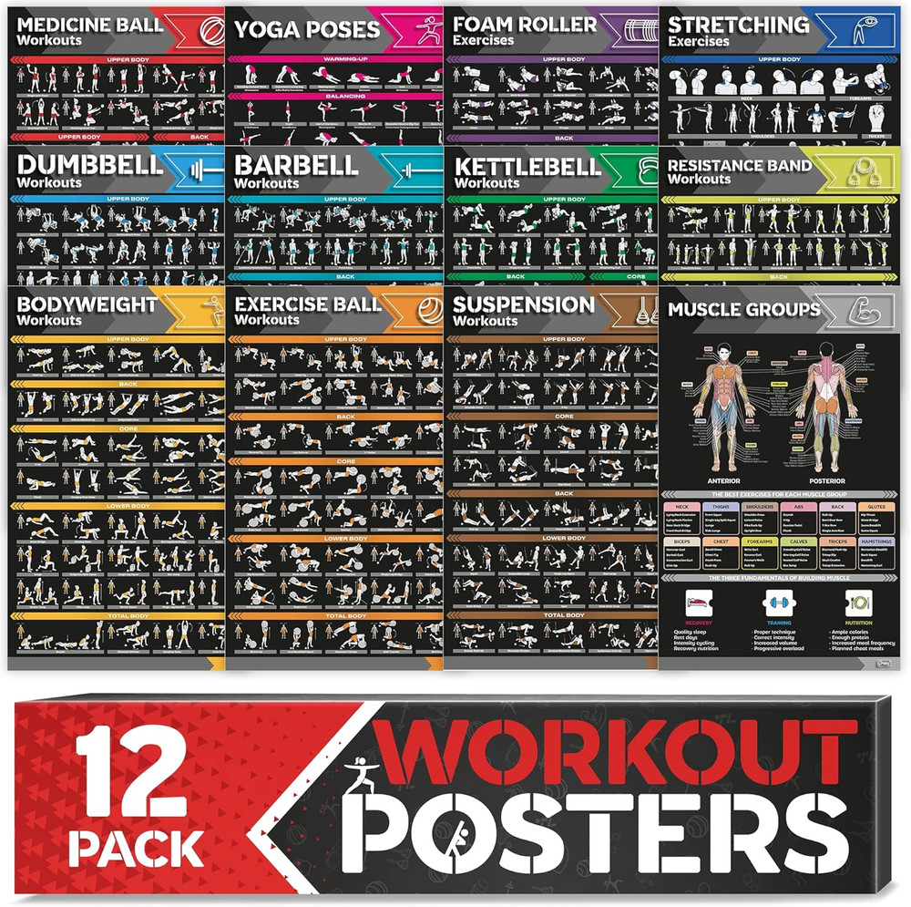 [12-PACK] Laminated Large Workout Poster Set – Perfect Workout Posters for Home