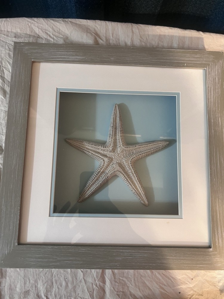 Framed Starfish Print Wall Art, Coastal Theme, Vertical, Gray Blue White