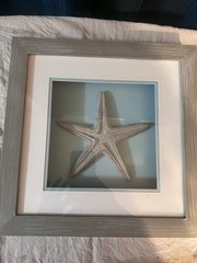 Framed Starfish Print Wall Art, Coastal Theme, Vertical, Gray Blue White