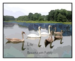 Life is Beautiful with Family Swan Art Print Wall Art Lake Cove Country Print
