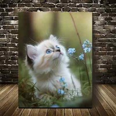 Adorable Ragdoll Kitten with Flowers Painting Metal Print Ready to Hang