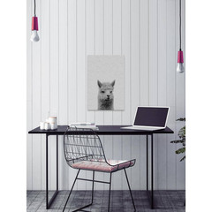 24 In. H X 16 In. W «Llama Surprise II» by Maria Giovanni Canvas Wall Art