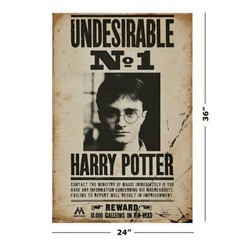 Harry Potter – Movie Poster / Print (Wanted: Undesirable No. 1) (Size: 24 X 36″)