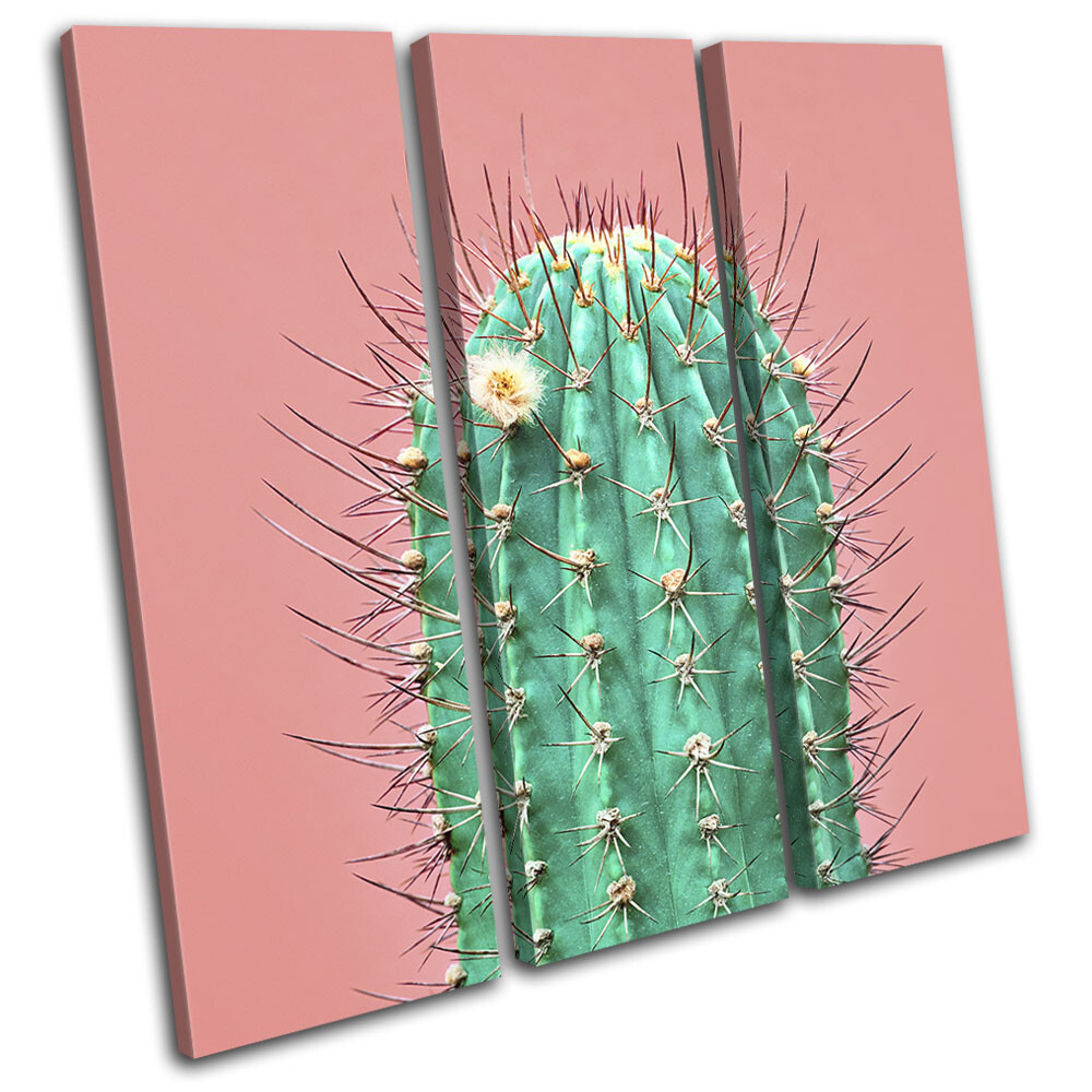 Cacti Catus Botanical Modern Floral TREBLE CANVAS WALL ART Picture Print