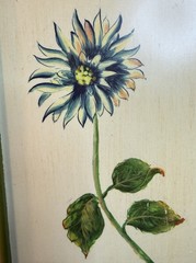 Floral Wall Art Set of 2 Green Frame Botanical Prints Cottage Farmhouse Decor
