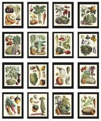 Vintage Vegetable Print Botanical Wall Art Set of 16 Beautiful Antique Unframed