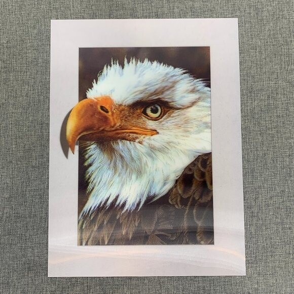 Brand New! Bald Eagle 3D Lenticular Poster 11.5″x15.5″ Wall Art Decor Pops out.