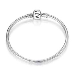 sterling silver Charms