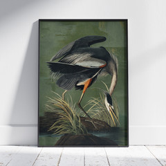 Vintage Great Blue Heron Poster Wall Art Print Audubon Bird Home Decor Room Gift