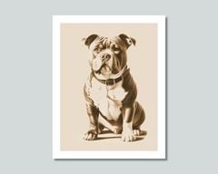 AMERICAN BULLY Dog Photo Picture Pet Print in 8×10, 8.5×11 or 11×14 WB5s