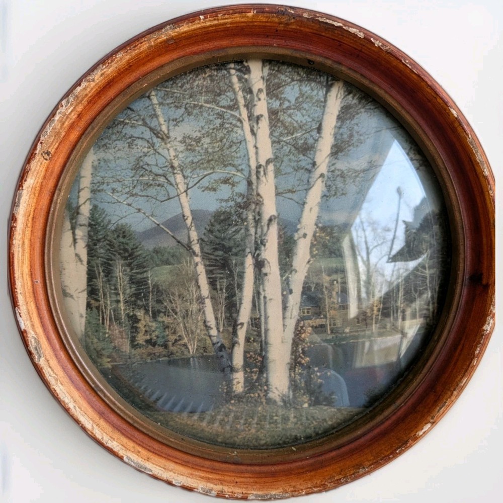 Vintage Peter Watson Studio Birch Tree Landscape Round Bubble Cottage Art Frame