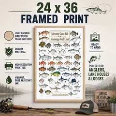 Mississippi Gulf Coast Fish Framed Poster 24×36 – Saltwater Fishing Chart