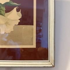 VTG MCM 1930’s/40’s GOES By M. Ash White Ikebana Flowers Litho Prints 17″ x 14″
