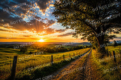 Digital Image Picture Photo Wallpaper Background Desktop AI Art Sample Product