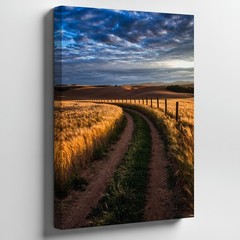 Serene Landscape Depicting Golden Wheat Fields Under A Dramatic Sky Wall Art