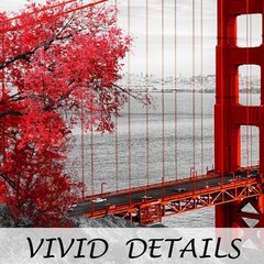 Black and White Red Wall Art San Francisco California Golden Gate Bridge Canv…