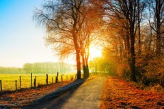 Autumn Farm Fields Country Road Sunset Landscape Photo Art Print Poster 18×12
