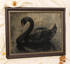 Black Swan Framed Wall Art, Moody Vintage Animal Canvas Print with Gold Accents,