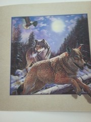 Wolves On Log 3D Lenticular picture 15 1/2″x 15 1/2″(Inset 11.5″X 11.5″)