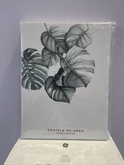 Canvas Print Wall Art 1 2X 16- Potted Palm 3 paintings