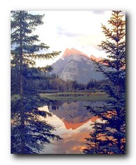Impact Posters Gallery Wall Decor Reflection of a 20″L x 16″W, Multicolor