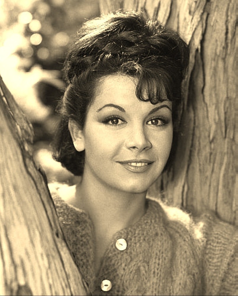 TV & Movie Actress Annette Funicello Celebrity Publicity Photo Poster Picture
