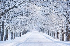 Winter Pictures Wall Decor Winter Poster Cool Wall Art Print Poster 24×16