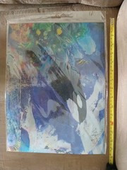 3D holographic posters, ocean life & kittens (15.5″ x 11.5″) Lot 2