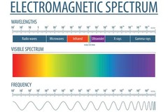 Electromagnetic Spectrum and Visible Light Reference Chart White Poster 36×24