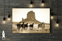 Wild Horse Art, Sepia Prints, Monument Valley, Southwestern Arizona Photography