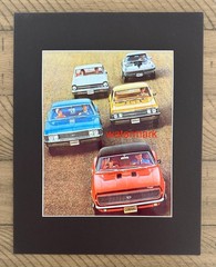 1967 Chevrolet Line Up Camaro Chevelle etc 8×10 Print (re-print) Matted to 11×14
