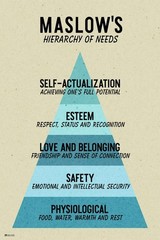 Maslows Hierarchy of Needs Motivational Therapy Doctor Chart Nurse Office Cool W