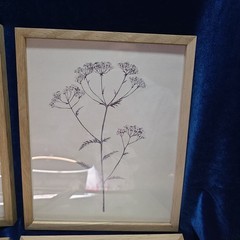 Haus and Hues Grey Floral Wall Art Natural Wood frame botanical prints Set Of 4