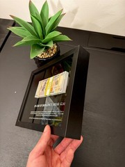 Motivational Money Frame “In Case of Emergency Break Glass” Luxury Gift Decor
