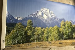 Window Well Grand Teton Mountain Huge Plastic Print 100”x60” By Biggies NIB